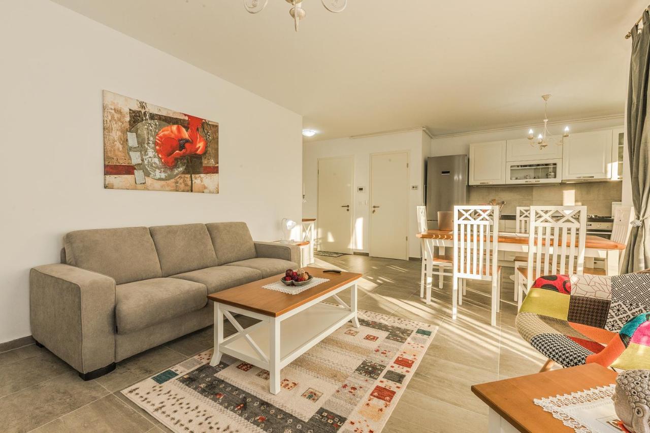 Elegant Sophia'S Apartment Brassó Kültér fotó