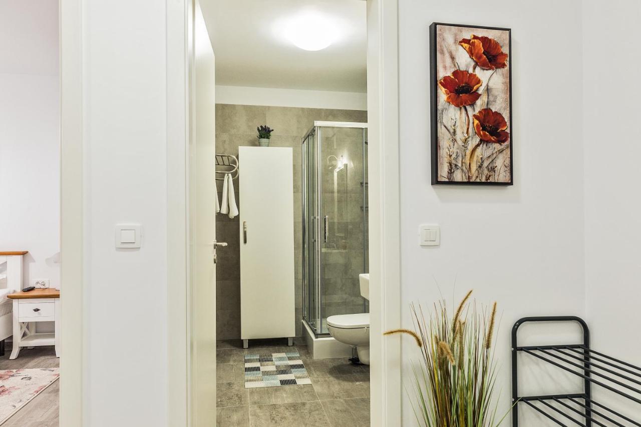 Elegant Sophia'S Apartment Brassó Kültér fotó